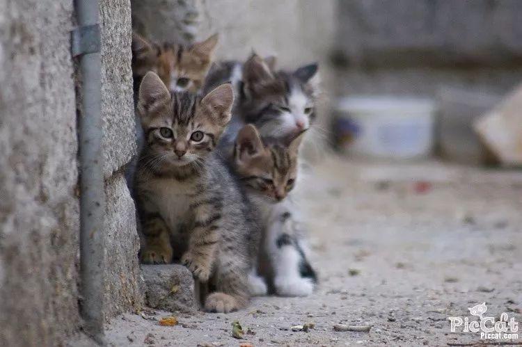 20221118134207_10515