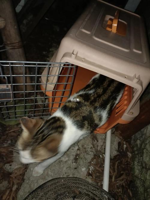 20221118134208_70817