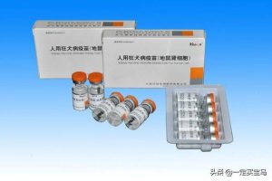 2020年狂犬疫苗价格一览表(猫狂犬疫苗价格一览表2020)-警犬训练器材厂家 _警犬训练用品_工作犬训练用品-南京开久警犬装备