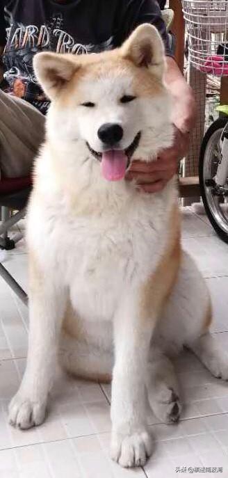 20221118135049_82814 20221118135049_82814