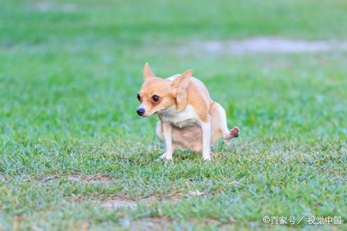 20221118140012_93467