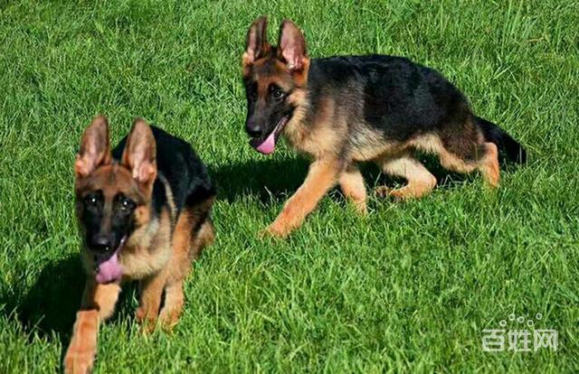 20221118140340_64495 20221118140340_64495