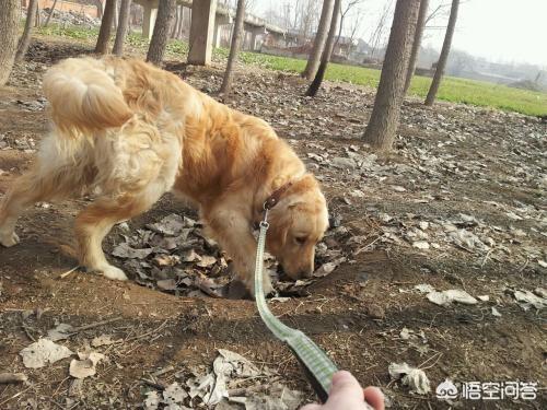 20221118140407_59297 20221118140407_59297