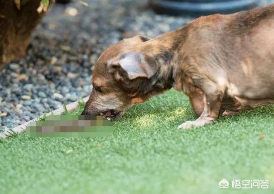 20221118140407_98158 20221118140407_98158