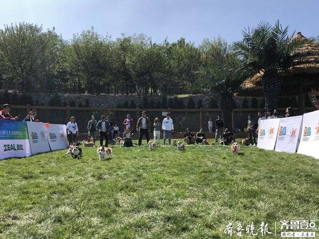 20221118141629_71966 20221118141629_71966