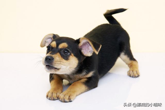 20221118143433_89432 20221118143433_89432