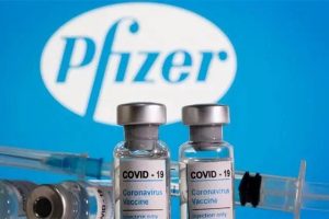 美国狗疫苗辉瑞(狗疫苗牌子 美国辉瑞)-警犬训练器材厂家 _警犬训练用品_工作犬训练用品-南京开久警犬装备