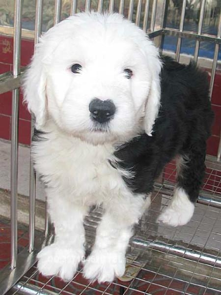 20221118144813_76657 20221118144813_76657