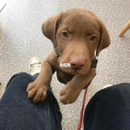 20221118145957_17855 20221118145957_17855