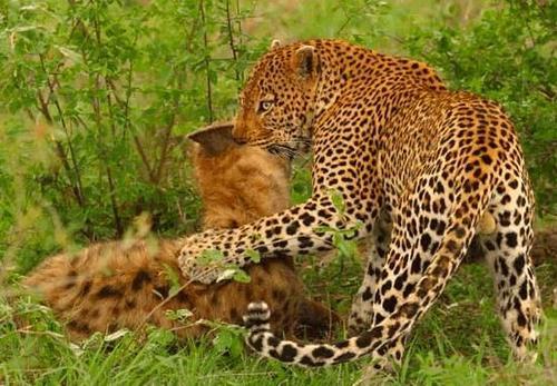 20221118150213_79976