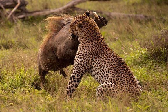 20221118150214_84015