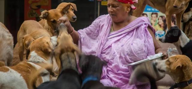 20221118151829_21114 20221118151829_21114