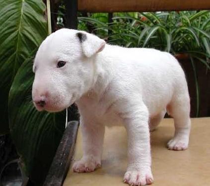 20221118151830_35710 20221118151830_35710