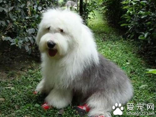 20221118152104_16580 20221118152104_16580