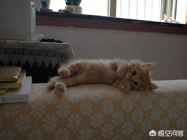 20221118152438_87650 20221118152438_87650