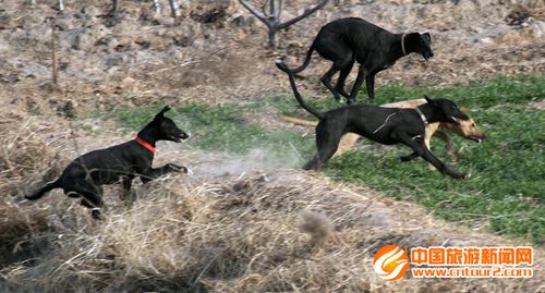 20221118154538_15097