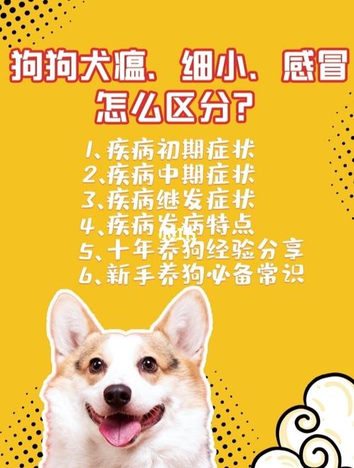 20221118160031_66009 20221118160031_66009