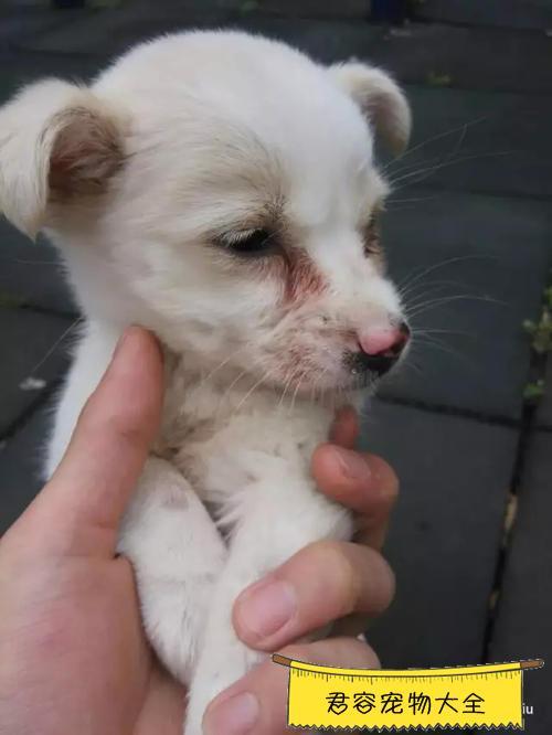 20221118160031_90240 20221118160031_90240