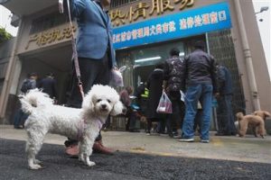 狗跑五步的时间马跑3步-警犬训练器材厂家 _警犬训练用品_工作犬训练用品-南京开久警犬装备