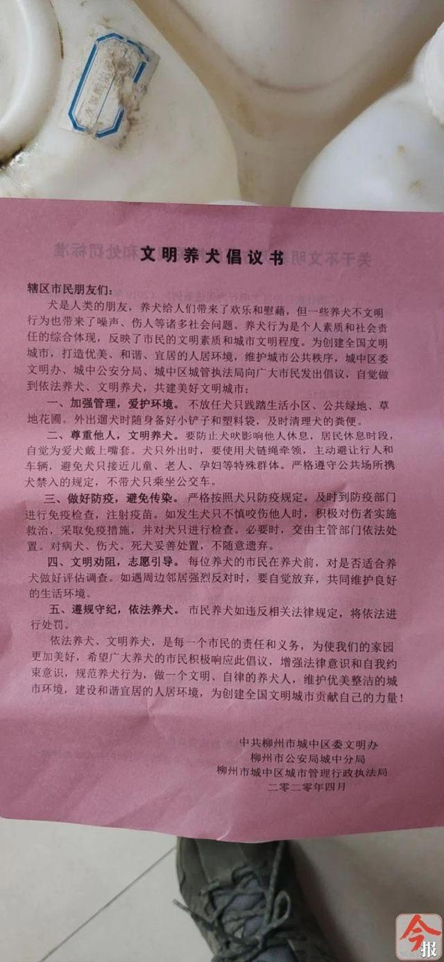 没收犬只之后如何处理(没收的犬只怎么处理) - 警犬训练器材厂家 _警犬训练用品_工作犬训练用品-南京开久警犬装备-警犬训练器材厂家 _警犬训练用品_工作犬训练用品-南京开久警犬装备