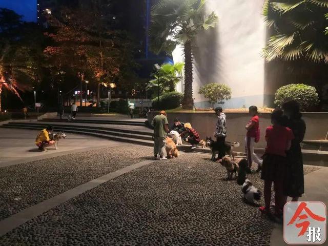 20221118160500_47691