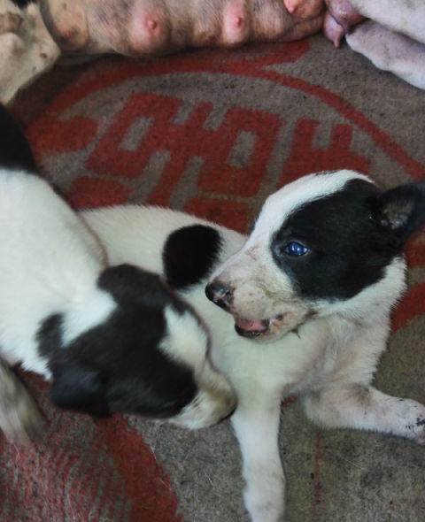 20221118161910_81113