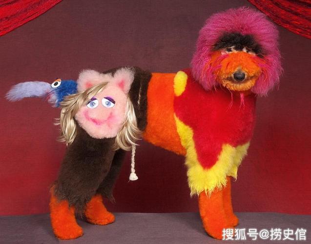 狗狗选美大赛冠军(狗狗选美大赛冠军萨摩耶) - 警犬训练器材厂家 _警犬训练用品_工作犬训练用品-南京开久警犬装备-警犬训练器材厂家 _警犬训练用品_工作犬训练用品-南京开久警犬装备