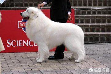 20221118164347_91591 20221118164347_91591