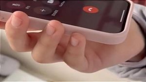 恶犬的叫声mp3  恶犬挑衅的叫声-警犬训练器材厂家 _警犬训练用品_工作犬训练用品-南京开久警犬装备