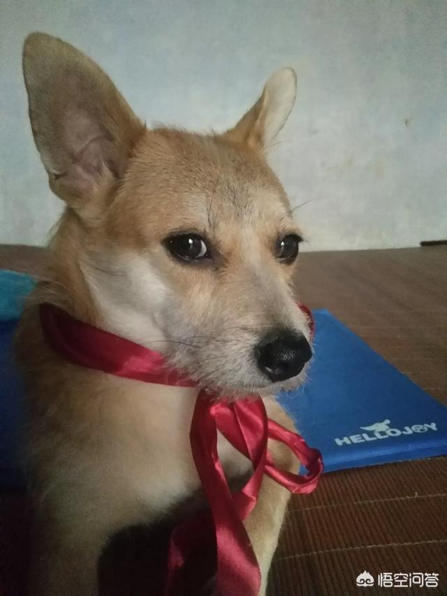 20221118165104_51707 20221118165104_51707