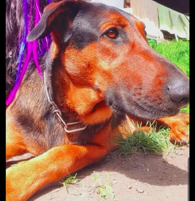 20221118172246_53859