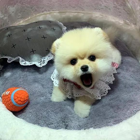 20221118173134_52229