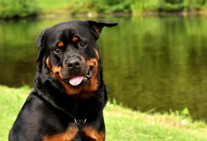 20221118173754_63358