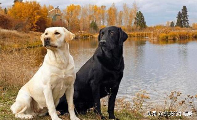 20221118174350_89684