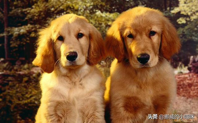 20221118174351_22584