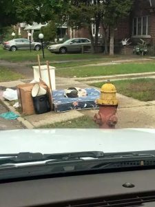 思念里的流浪狗_思念里的流浪狗经典语录-警犬训练器材厂家 _警犬训练用品_工作犬训练用品-南京开久警犬装备