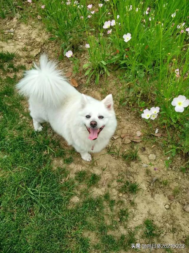 20221118175505_67161 20221118175505_67161