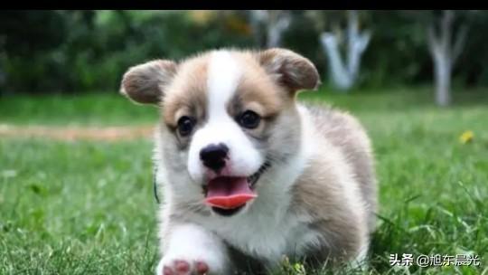 20221118175506_88597 20221118175506_88597