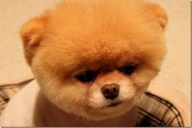 20221118180240_67045 20221118180240_67045