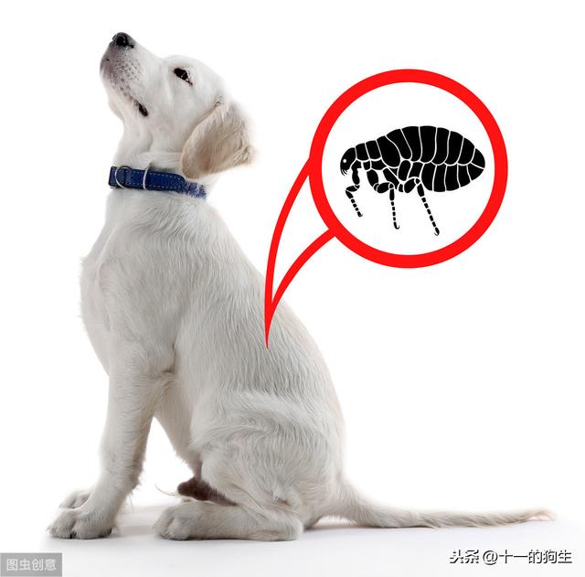 20221118183330_65668