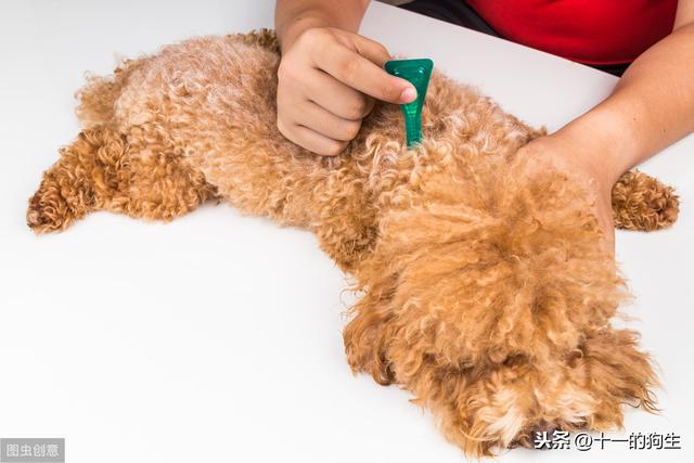 20221118183330_97578