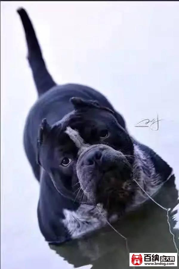 20221118183449_37166 20221118183449_37166