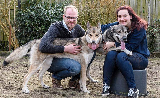 20221118190212_79364 20221118190212_79364