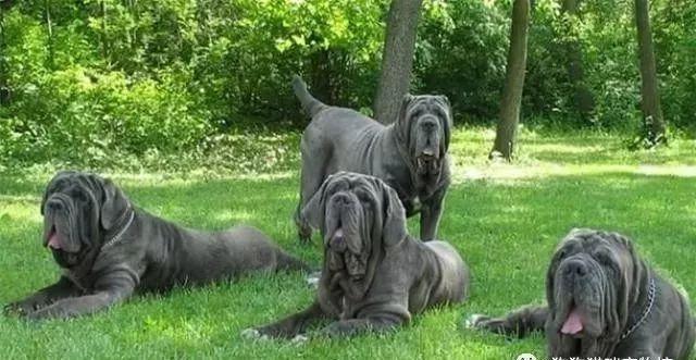 20221118190417_31183