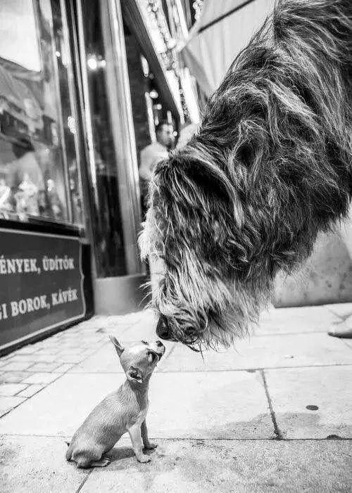 20221118190417_73480