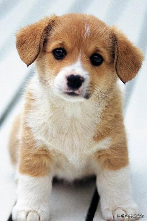 20221118191427_92777