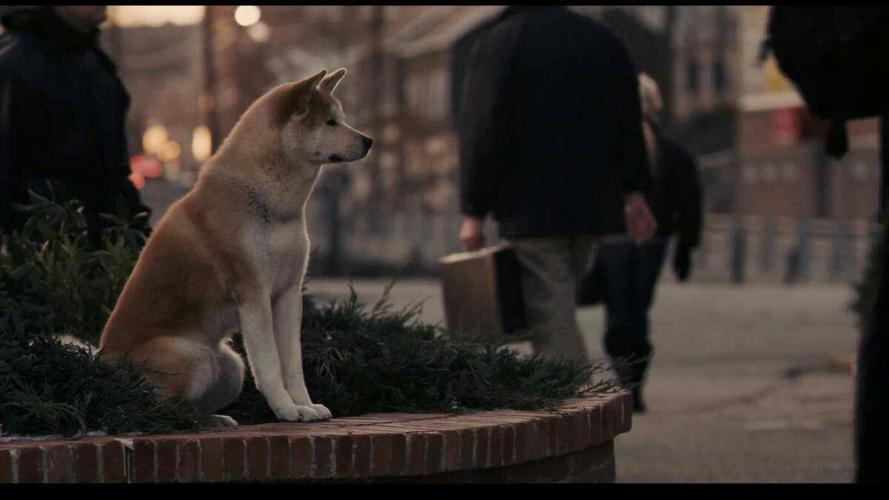 20221118191525_23383 20221118191525_23383