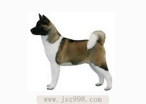 20221118192250_43388 20221118192250_43388