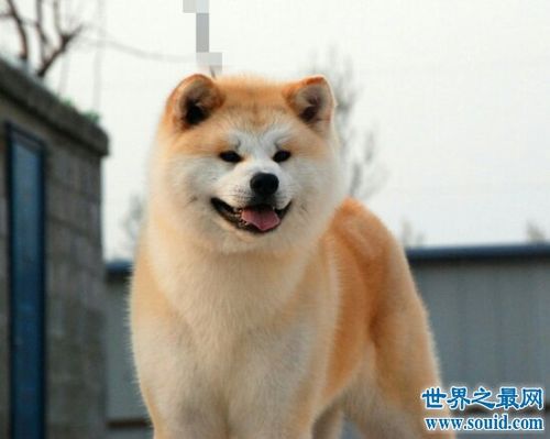 20221118192251_46749 20221118192251_46749