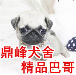 20221118192456_71761